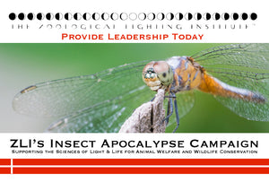 ZLI's Insect Apocalypse Grant