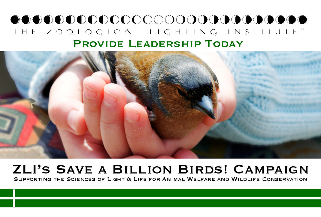 ZLI's Save a Billion Birds! Grant